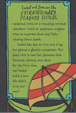 Book - The Phantom Twin