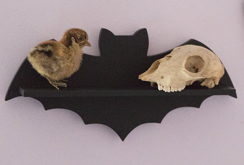 Shelf - Bat