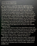 Book - Coney Island and Astroland